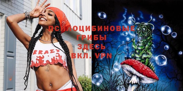 apvp Майский
