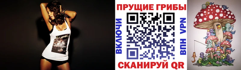 Псилоцибиновые грибы Psilocybe  Купить где  Ахтубинск 